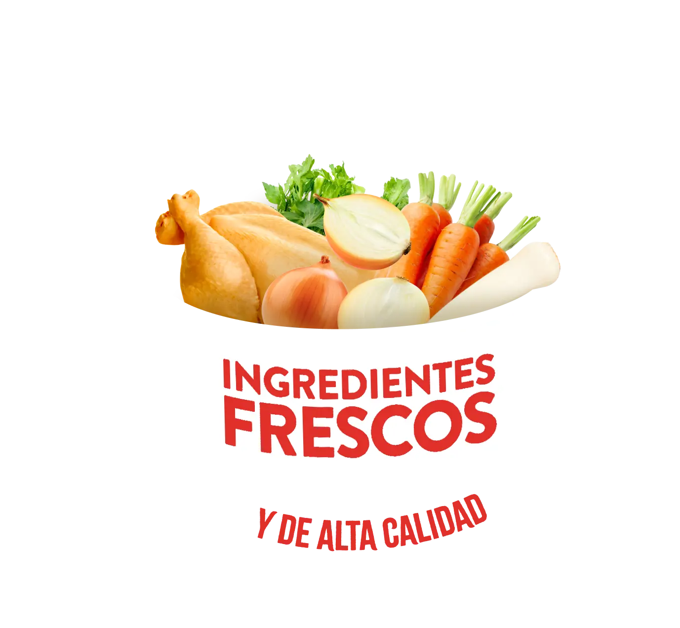 Ingredientes Caldo